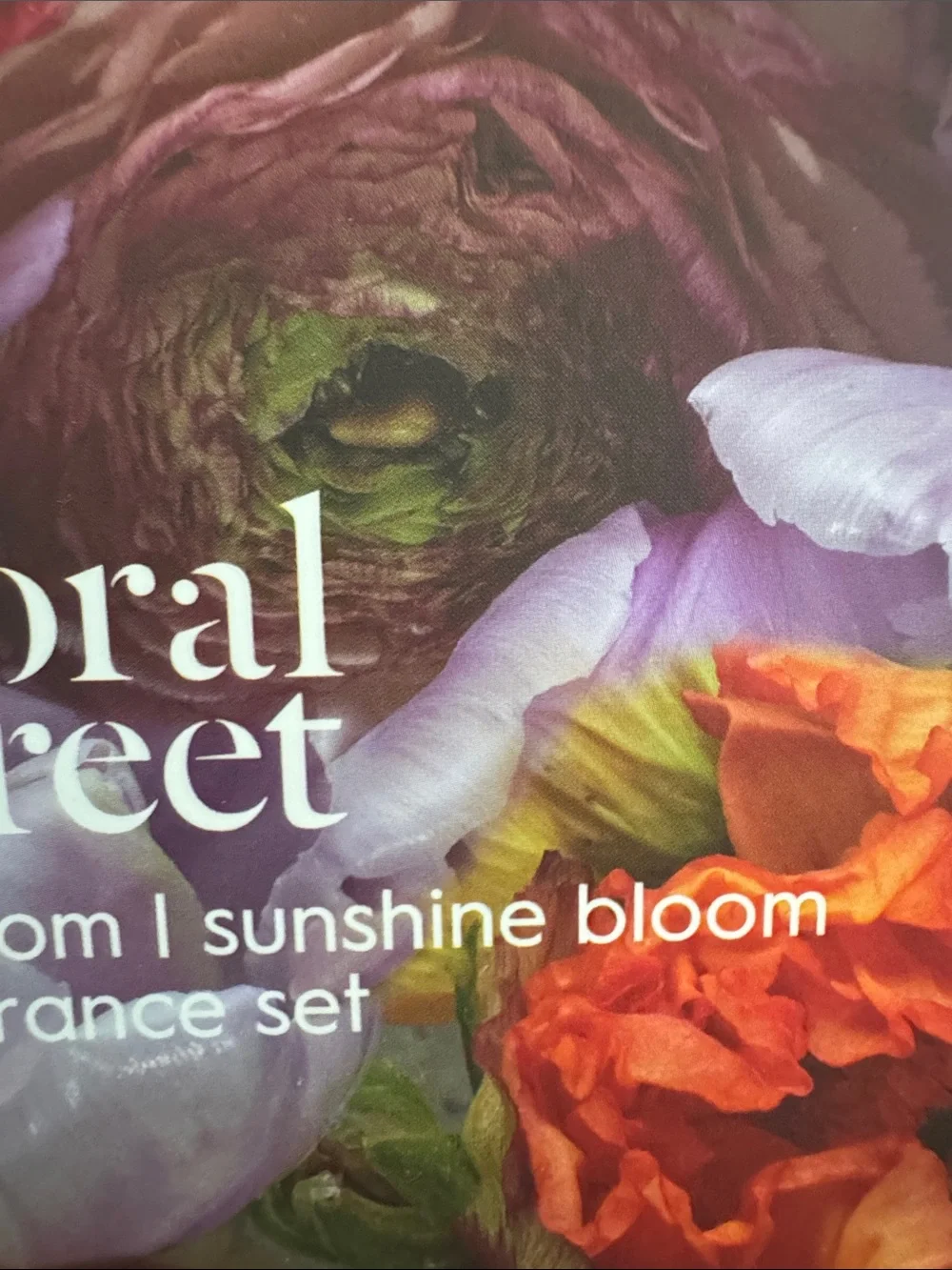 Pura Smart Home Diffuser - Floral Street Home Fragrance x 2 - New